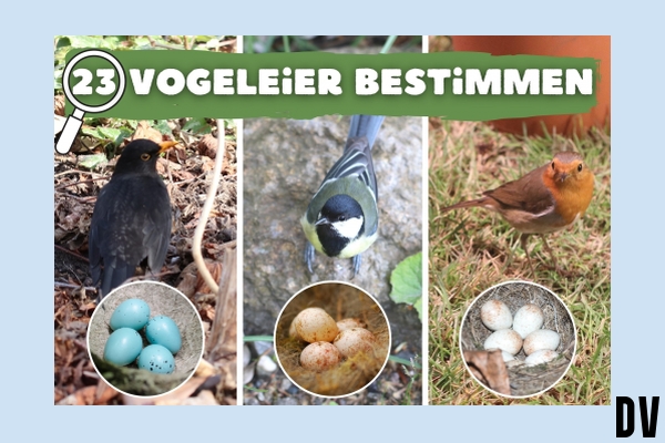 bestimmen