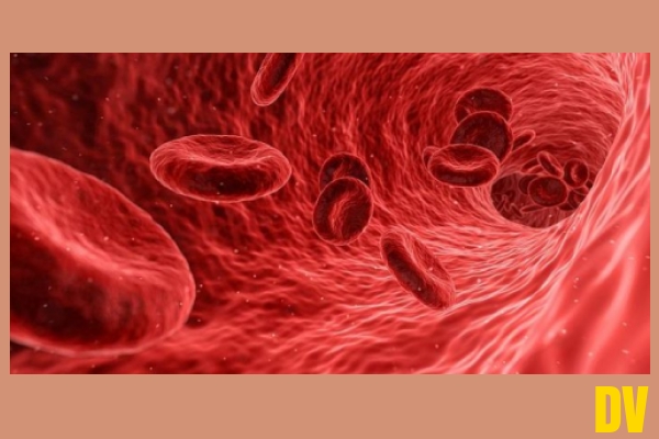 Blut
