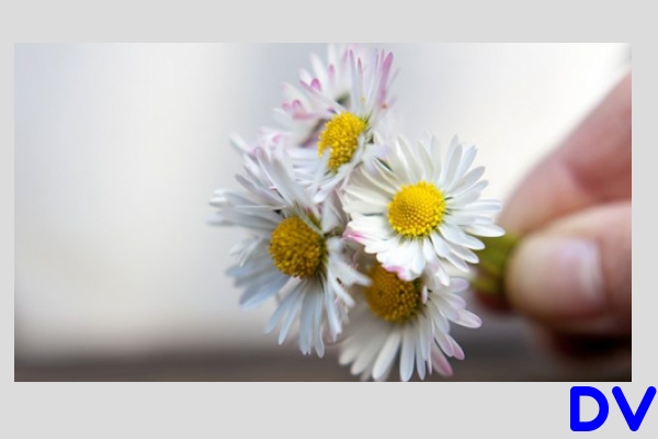 danken