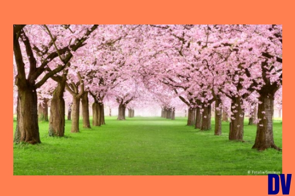 Frühling