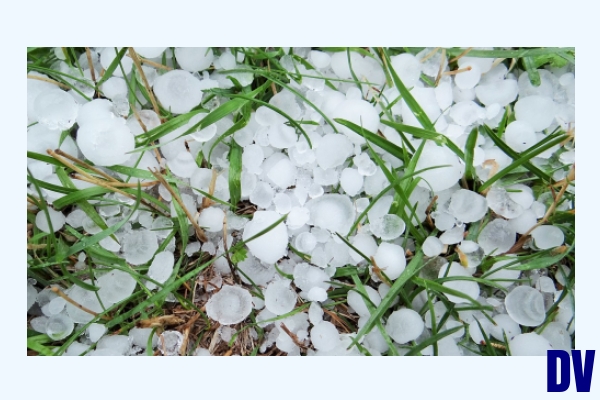Hagel