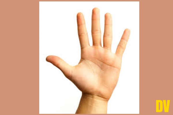 Hand