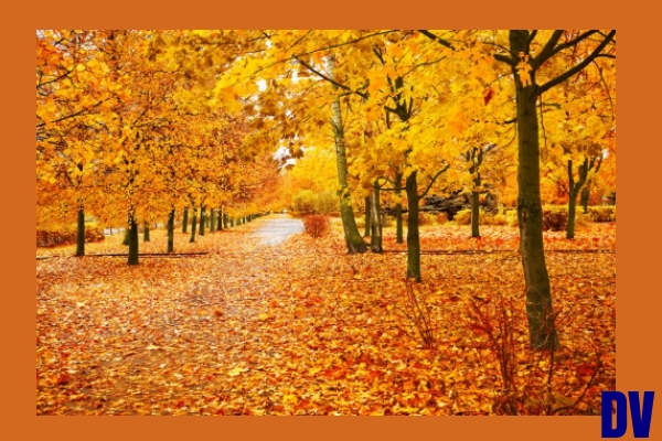 Herbst