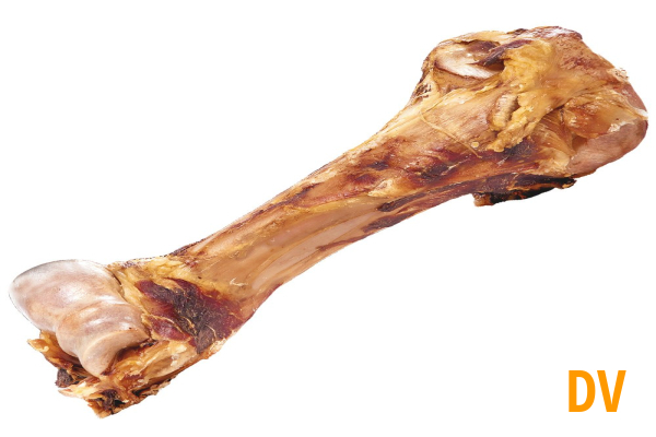 Knochen