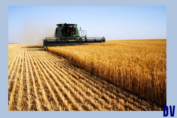 Landwirtschaft