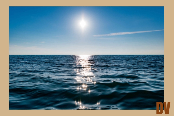 Meer