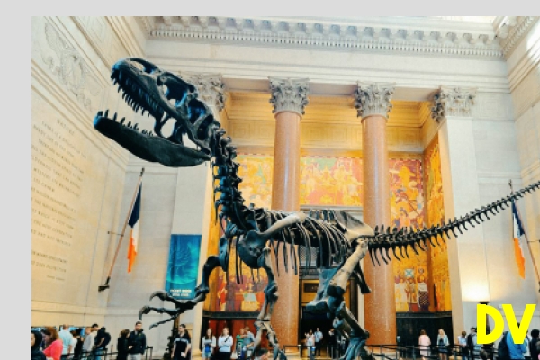 Museum