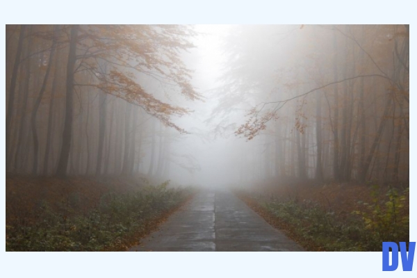 Nebel
