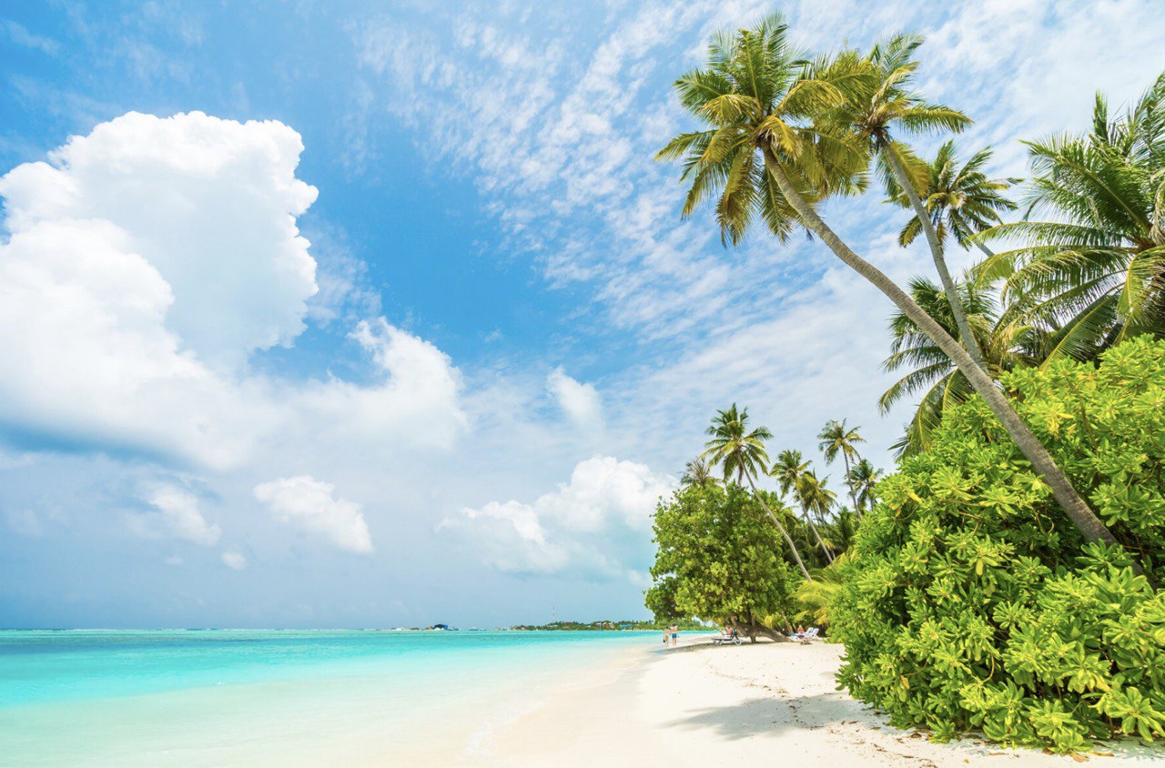 Paradies