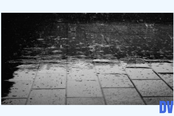 Regen