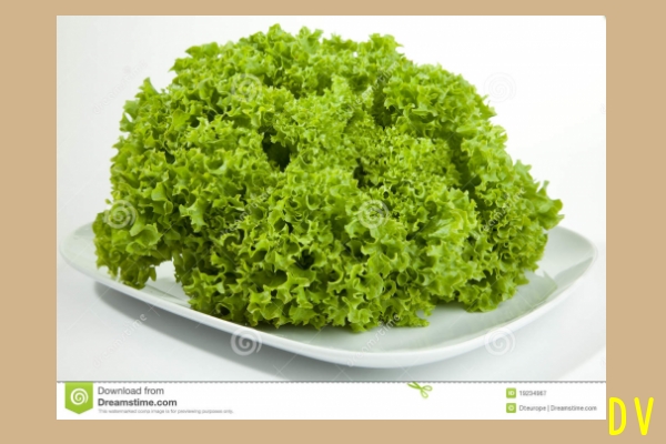 Salat