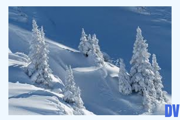 Schnee