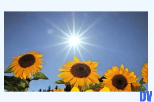 sonnig