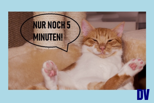 verschlafen