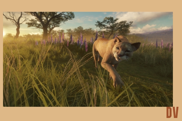 wild