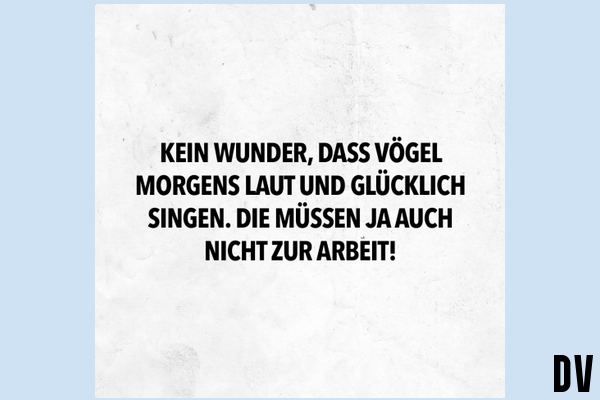 Wunder